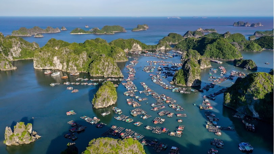 Tour Hà Nội - Flamingo Cát Bà 03 ngày 02 đêm