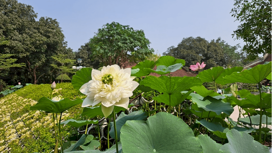 Tour Hà Nội - Cửa Lò - Quê Bác - Teambuilding - Gala Dinner 03 ngày 02 đêm