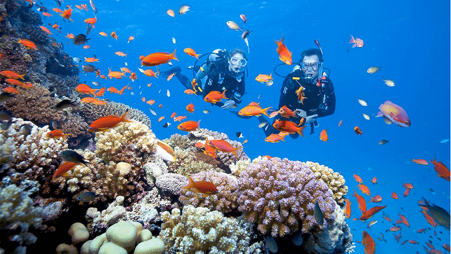 Tour Hà Nội - Đà Nẵng - Hội An - Teambuilding - Gala Dinner  04 ngày 03 đêm
