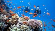 Tour Hà Nội - Đà Nẵng - Hội An - Teambuilding - Gala Dinner  04 ngày 03 đêm