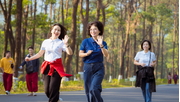 Tour Hà Nội - Amour Ba Vì 02 ngày 01 đêm