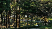 Tour Hà Nội - Amour Ba Vì 02 ngày 01 đêm