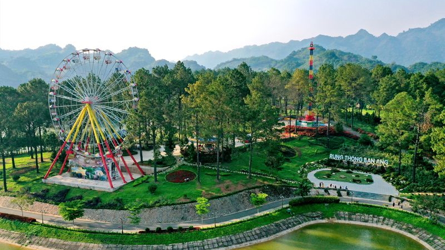 Tour Hà Nội - Mộc Châu - Rừng thông Bản Áng - Mộc Châu Island 03 ngày 02 đêm