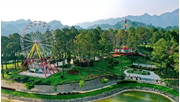 Tour Hà Nội - Mộc Châu - Rừng thông Bản Áng - Mộc Châu Island 03 ngày 02 đêm