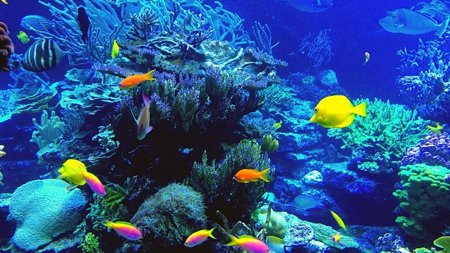 Tour Hà Nội - Nha Trang - City Tour - Hòn Tằm 4 ngày 3 đêm