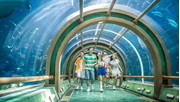 Tour Hà Nội - Phú Quốc - Khu giải trí Vinwonders 3 ngày 2 đêm