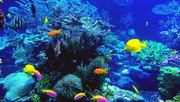 Tour Hà Nội - Nha Trang - City Tour - Hòn Tằm 4 ngày 3 đêm