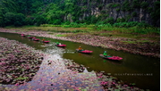 Tour Hà Nội - Ninh Bình - Cố đô Hoa Lư - Tuyệt Tịnh Cốc - Tam Cốc 02 ngày 01 đêm