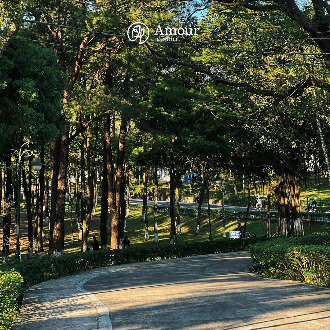 Tour Hà Nội - Amour Ba Vì 02 ngày 01 đêm