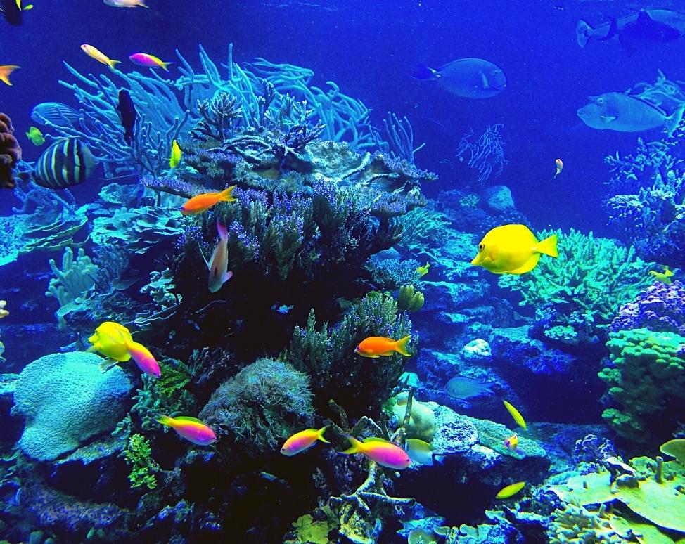 Tour Hà Nội - Nha Trang - City Tour - Hòn Tằm 4 ngày 3 đêm